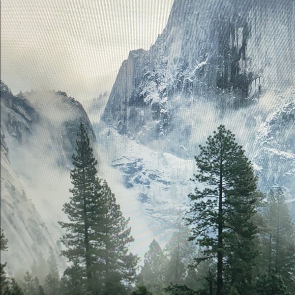 Meet your Posher, Logan - Picture 1 of 1